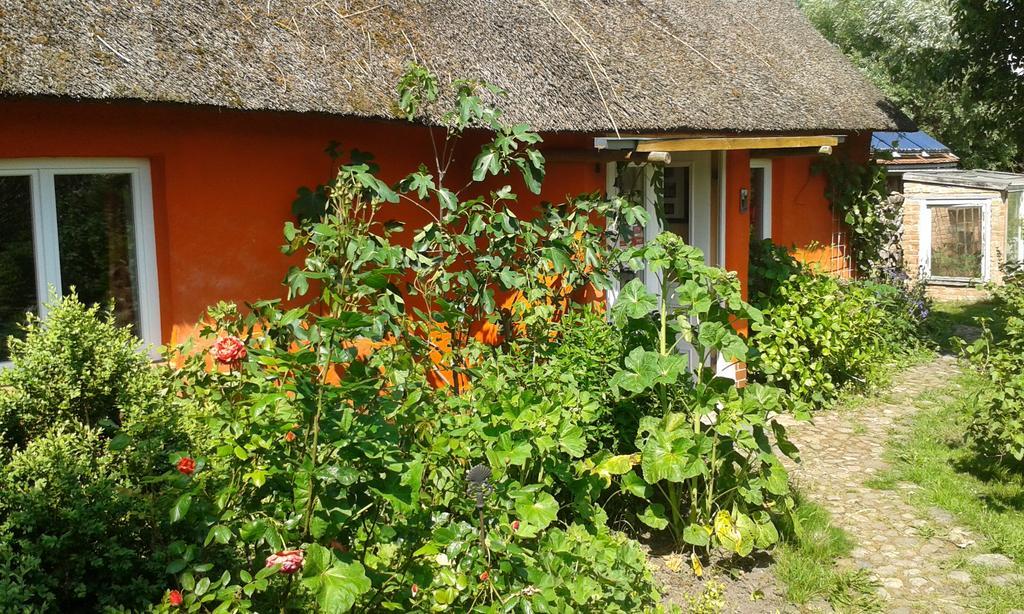 Apartamento Hofboddenblick Kuckenshagen Exterior foto